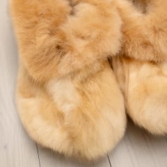 Beebialpaka karusnahast sussid