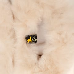 Beebialpaka karusnahast sussid