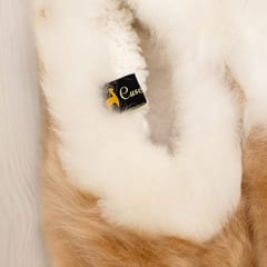 Beebialpaka karusnahast sussid
